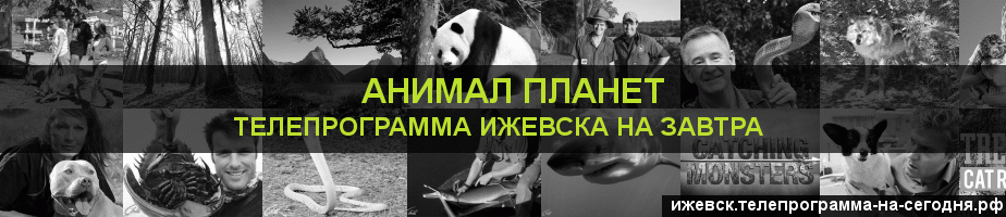 Телепрограмма на завтра канала Анимал Планет, Ижевск