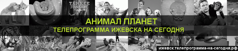 Телепрограмма на сегодня канала Анимал Планет, Ижевск